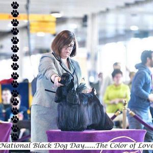 Meet your Posher, Karen